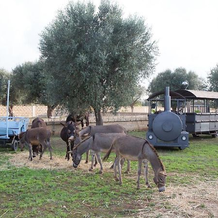 Masseria Grande Taurisano Екстериор снимка