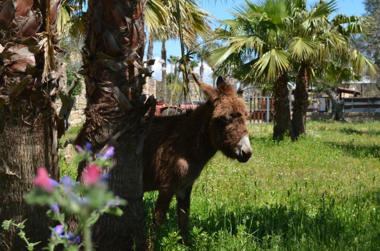Masseria Grande Taurisano Екстериор снимка
