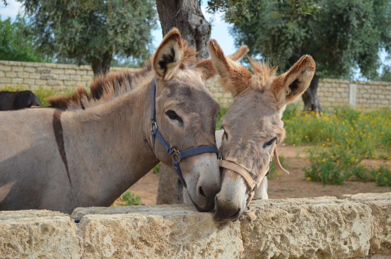 Masseria Grande Taurisano Екстериор снимка