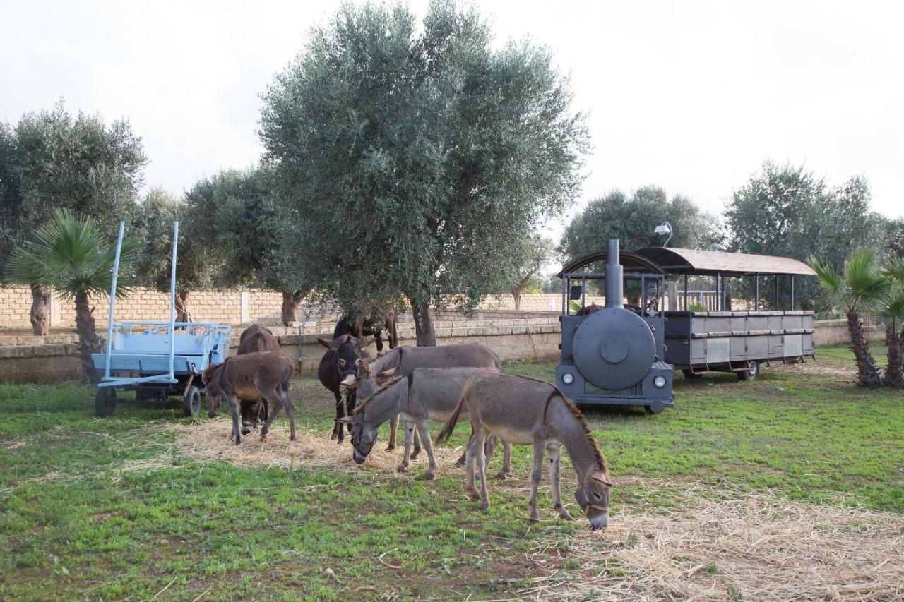 Masseria Grande Taurisano Екстериор снимка